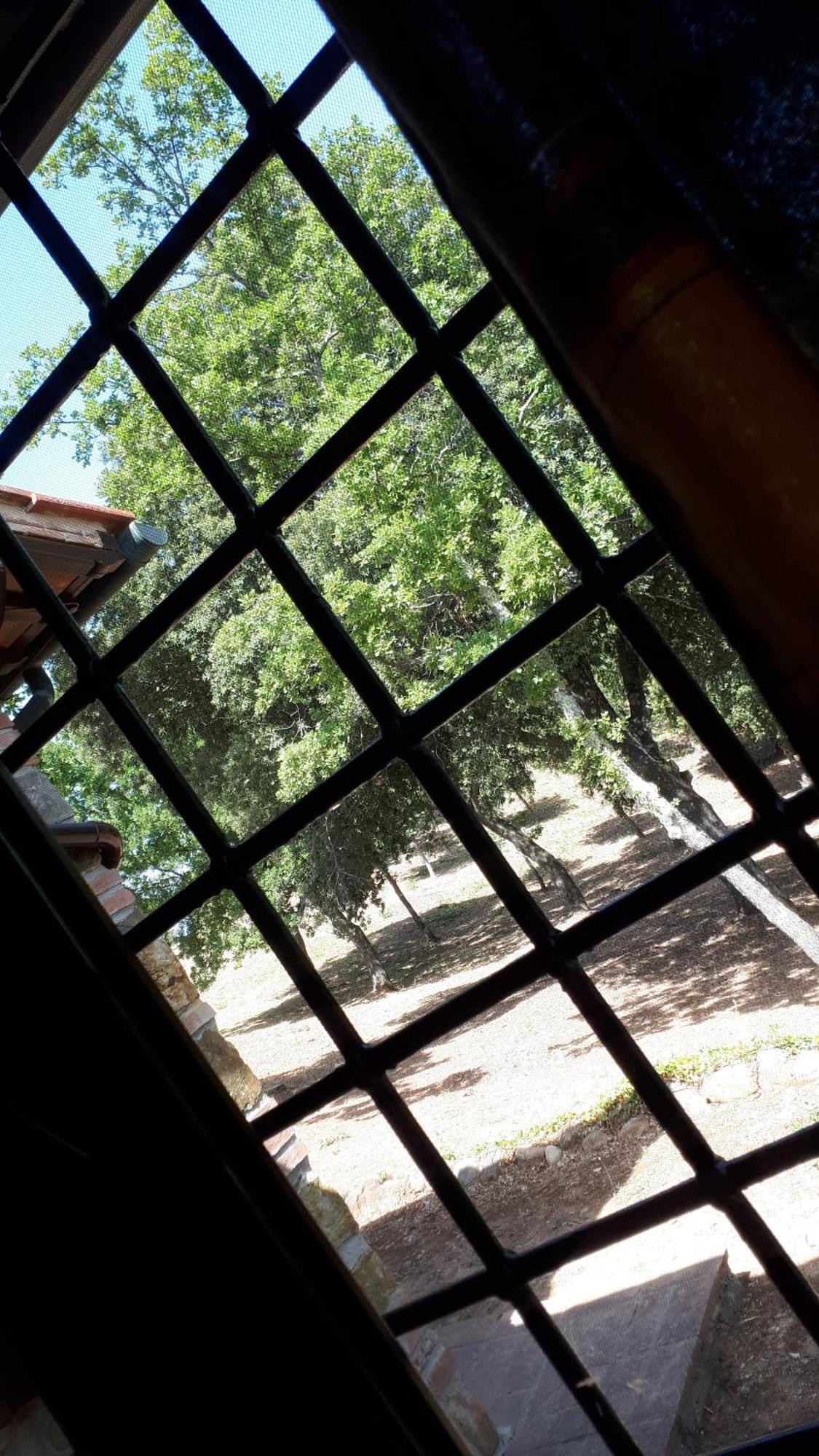 Agriturismo Podere San Lorenzo 1866 Масса-Мариттима Экстерьер фото